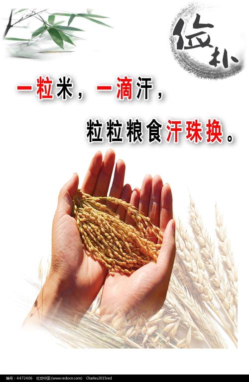 CityCollegeofNewYork学士证书